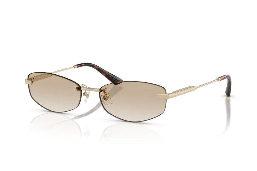 Jimmy Choo JC4013D - 300611 - 57 Sonnenbrillen Oval/Geometrisch