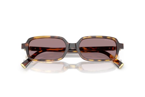 MIU MIU MU 11ZS - 14L20I - 51 Sonnenbrillen Havanna Eckig