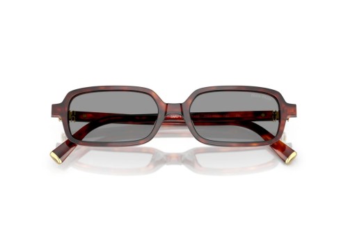 MIU MIU MU 11ZS - 21C40O - 51 Sonnenbrillen Eckig