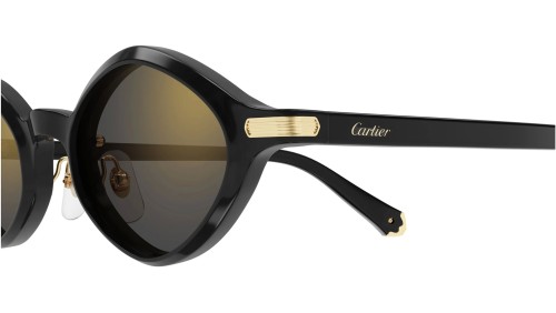 Cartier CT0540S - 001 - 48 Sonnenbrillen Schwarz Oval