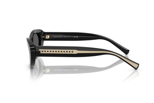 TIFFANY & CO. TF4236U - 8001S4 - 55 Sonnenbrillen Schwarz Cat Eye
