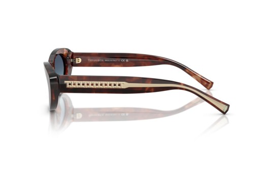 TIFFANY & CO. TF4236U - 84219S - 55 Sonnenbrillen Havanna Cat Eye