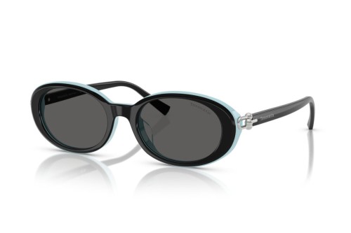 TIFFANY & CO. - Sonnenbrillen - TF4242D - 8055S4 - 54