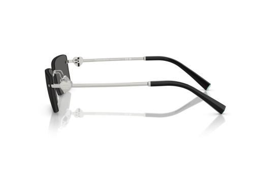 TIFFANY & CO. TF3108B - 6001S4 - 60 Sonnenbrillen Silber Eckig