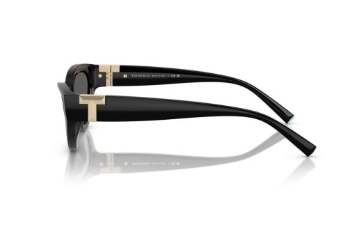 TIFFANY & CO. TF4225U - 8001S4 - 54 Sonnenbrillen Schwarz Cat Eye