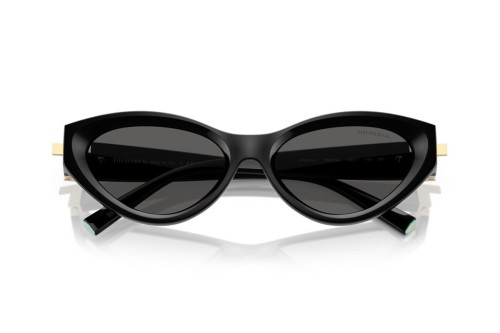 TIFFANY & CO. TF4225U - 8001S4 - 54 Sonnenbrillen Schwarz Cat Eye