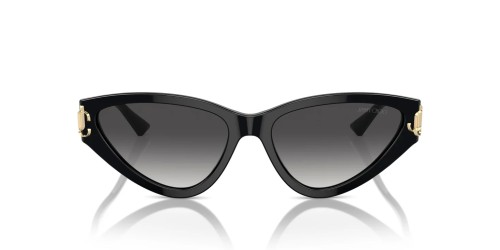 Jimmy Choo JC5019 - ​50008G - ​55 Sonnenbrillen Schwarz Cat Eye