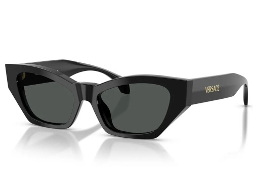 VERSACE - Sonnenbrillen - VE4488U - ​GB1/87 - ​53
