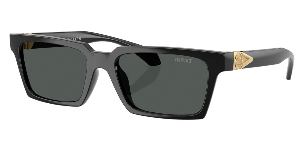 VERSACE VE4490U - ​GB1/87 - ​55 Sonnenbrillen Schwarz Eckig