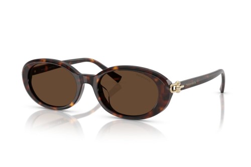 TIFFANY & CO. - Sonnenbrillen - TF4242D - 80153G - 54