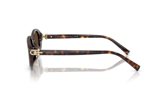 TIFFANY & CO. TF4242D - 80153G - 54 Sonnenbrillen Oval