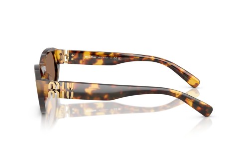 MIU MIU MU A03S - 14L60M - 53 Sonnenbrillen Havanna Cat Eye