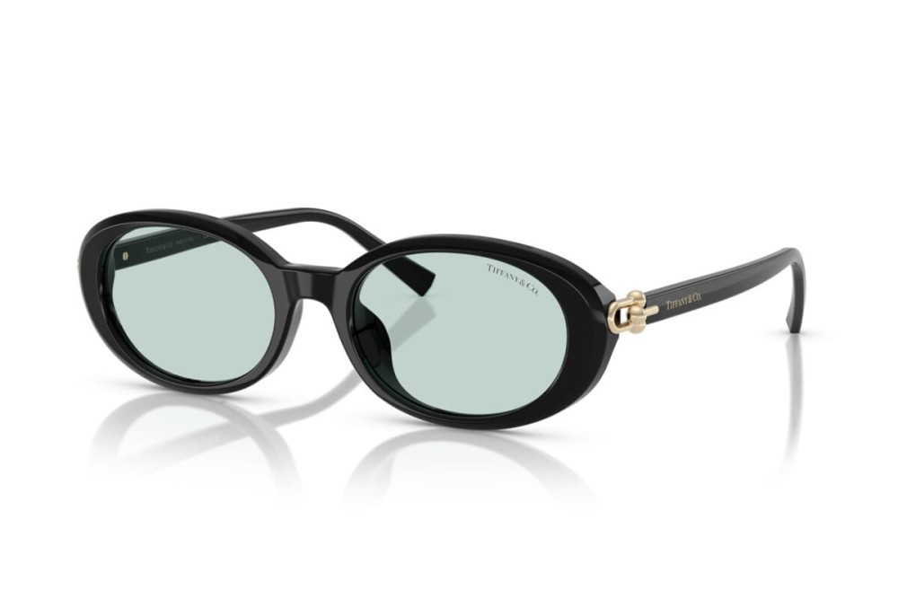 TIFFANY & CO. TF4242D - 8001D9 - 54 Sonnenbrillen Schwarz Oval