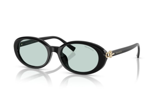 TIFFANY & CO. TF4242D - 8001D9 - 54 Sonnenbrillen Schwarz Oval