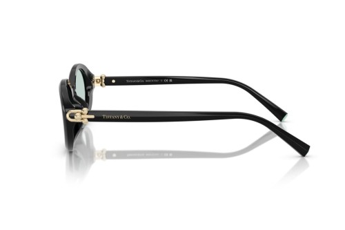 TIFFANY & CO. TF4242D - 8001D9 - 54 Sonnenbrillen Schwarz Oval