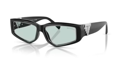 TIFFANY & CO. TF4234U - 8001D9 - 55 Sonnenbrillen Schwarz