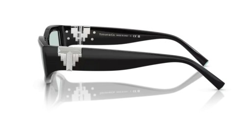 TIFFANY & CO. TF4234U - 8001D9 - 55 Sonnenbrillen Schwarz