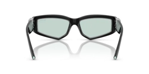 TIFFANY & CO. TF4234U - 8001D9 - 55 Sonnenbrillen Schwarz