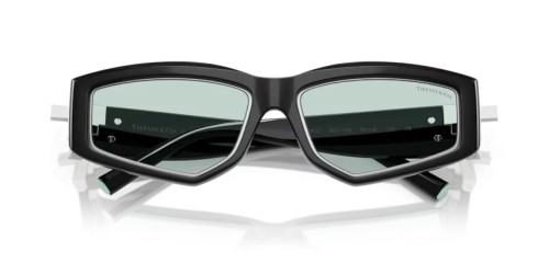 TIFFANY & CO. TF4234U - 8001D9 - 55 Sonnenbrillen Schwarz