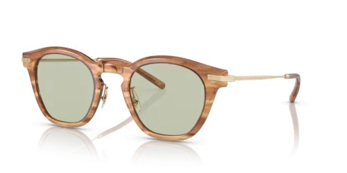 OLIVER PEOPLES OV5496 LEN - 1744 - 49 Sonnenbrillen Eckig