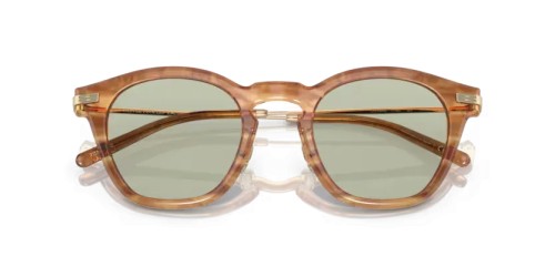 OLIVER PEOPLES OV5496 LEN - 1744 - 49 Sonnenbrillen Eckig