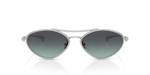 TIFFANY & CO. TF3117 - 60012G - 58 Sonnenbrillen Silber Unregelmäßig
