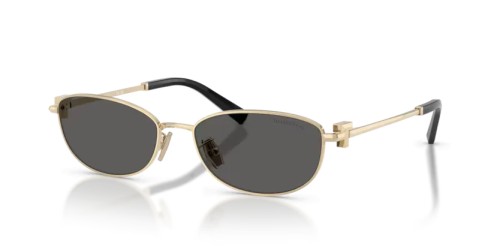 TIFFANY & CO. TF3115 - 6021S4 - 56 Sonnenbrillen Oval
