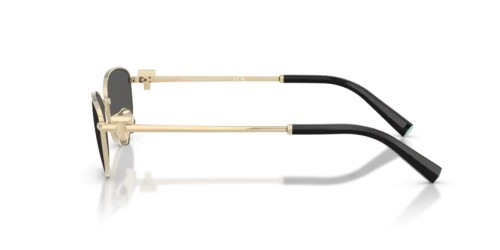 TIFFANY & CO. TF3115 - 6021S4 - 56 Sonnenbrillen Oval