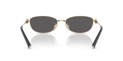 TIFFANY & CO. TF3115 - 6021S4 - 56 Sonnenbrillen Oval