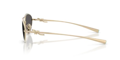 TIFFANY & CO. TF3117 60012G 58 - 6021S4 - 58 Sonnenbrillen