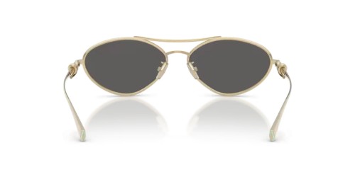 TIFFANY & CO. TF3117 60012G 58 - 6021S4 - 58 Sonnenbrillen
