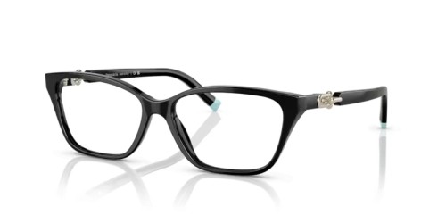 TIFFANY & CO. - Brillenfassungen - TF2229 - 8001 - 55