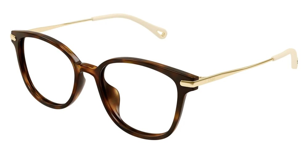 Chloé CH0219OA - 002 - 53 Brillenfassungen Kissenform (Abgerundet)