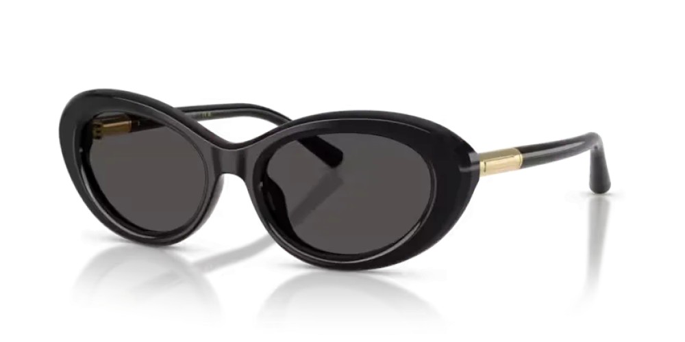 DOLCE & GABBANA DG4519 - 501/87 - 54 Sonnenbrillen Schwarz Oval