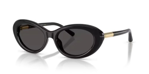 DOLCE & GABBANA DG4519 - 501/87 - 54 Sonnenbrillen Schwarz Oval