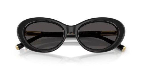 DOLCE & GABBANA DG4519 - 501/87 - 54 Sonnenbrillen Schwarz Oval