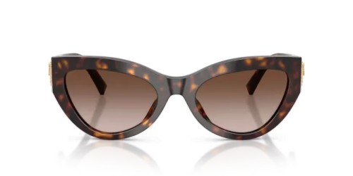 DOLCE & GABBANA DG4536 - 502/13 - 55 Sonnenbrillen Havanna Cat Eye