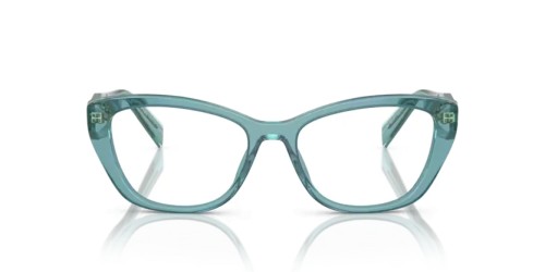 PRADA PR 19WV - 16J1O1 - 53 Brillenfassungen Cat Eye