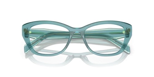 PRADA PR 19WV - 16J1O1 - 53 Brillenfassungen Cat Eye