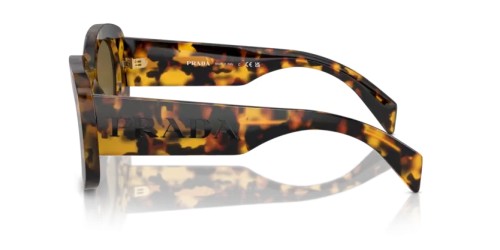 PRADA PR A13S - VAU01T - 54 Sonnenbrillen Oval