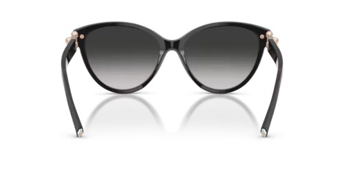 TIFFANY & CO. TF4261 - 80013C - 56 Sonnenbrillen Schwarz Cat Eye