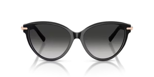 TIFFANY & CO. TF4261 - 80013C - 56 Sonnenbrillen Schwarz Cat Eye