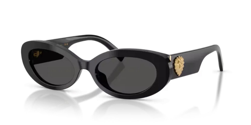 DOLCE & GABBANA DG4537 - 501/87 - 53 Sonnenbrillen Schwarz Oval