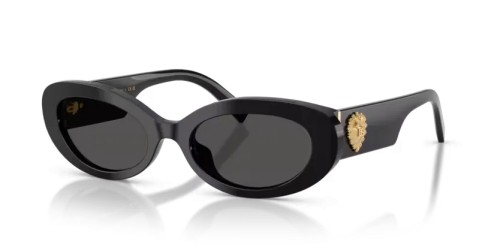DOLCE & GABBANA DG4537 - 501/87 - 53 Sonnenbrillen Schwarz Oval