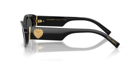 DOLCE & GABBANA DG4537 - 501/87 - 53 Sonnenbrillen Schwarz Oval