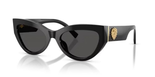 DOLCE & GABBANA DG4536 - 501/87 - 55 Sonnenbrillen Schwarz Cat Eye