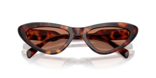 MIU MIU MU B11SU - 27L90Q - 55 Sonnenbrillen Havanna Cat Eye