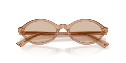 Jimmy Choo JC5068U - 507693 - 51 Sonnenbrillen Oval