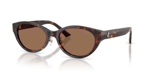 Jimmy Choo JC5064D - 500273 - 55 Sonnenbrillen Havanna Oval