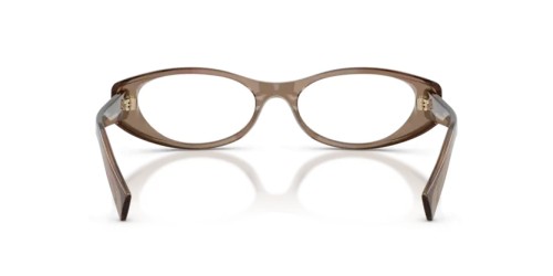 MIU MIU MU 03ZV - 26M1O1 - 55 Brillenfassungen Durchscheinend Braun Oval